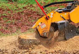 How Our Tree Care Process Works  in  Richland Hills, TX